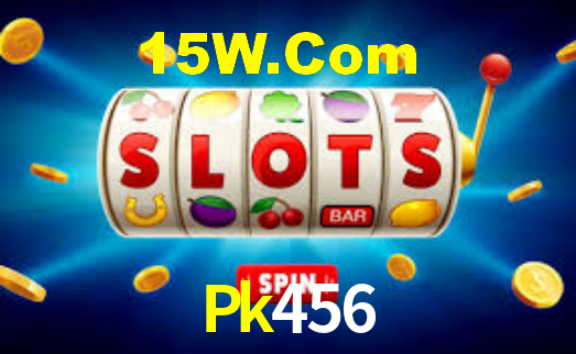 Interface Premium Pk456