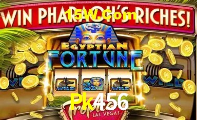 Tecnologia da Plataforma Pk456