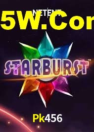 Experimente o Login Seguro Premium no Pk456