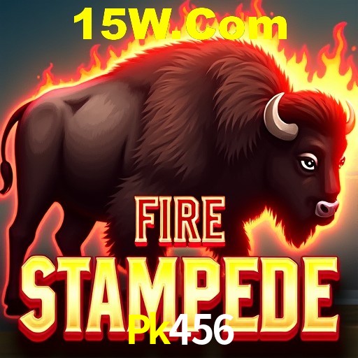 Interface Premium Pk456