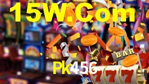 Premium Interface Pk456