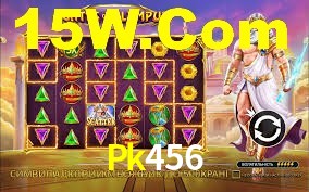 Experimente o Login Seguro Premium no Pk456